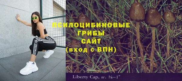 винт Алзамай
