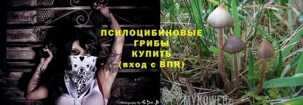 винт Алзамай
