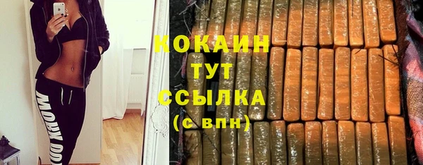 винт Алзамай