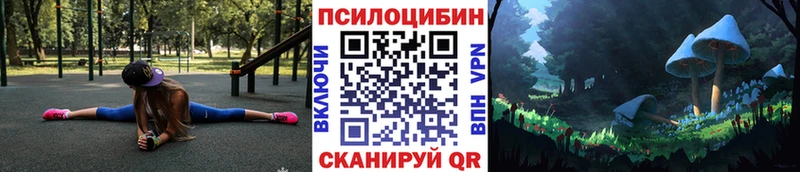 Псилоцибиновые грибы мицелий Краснознаменск